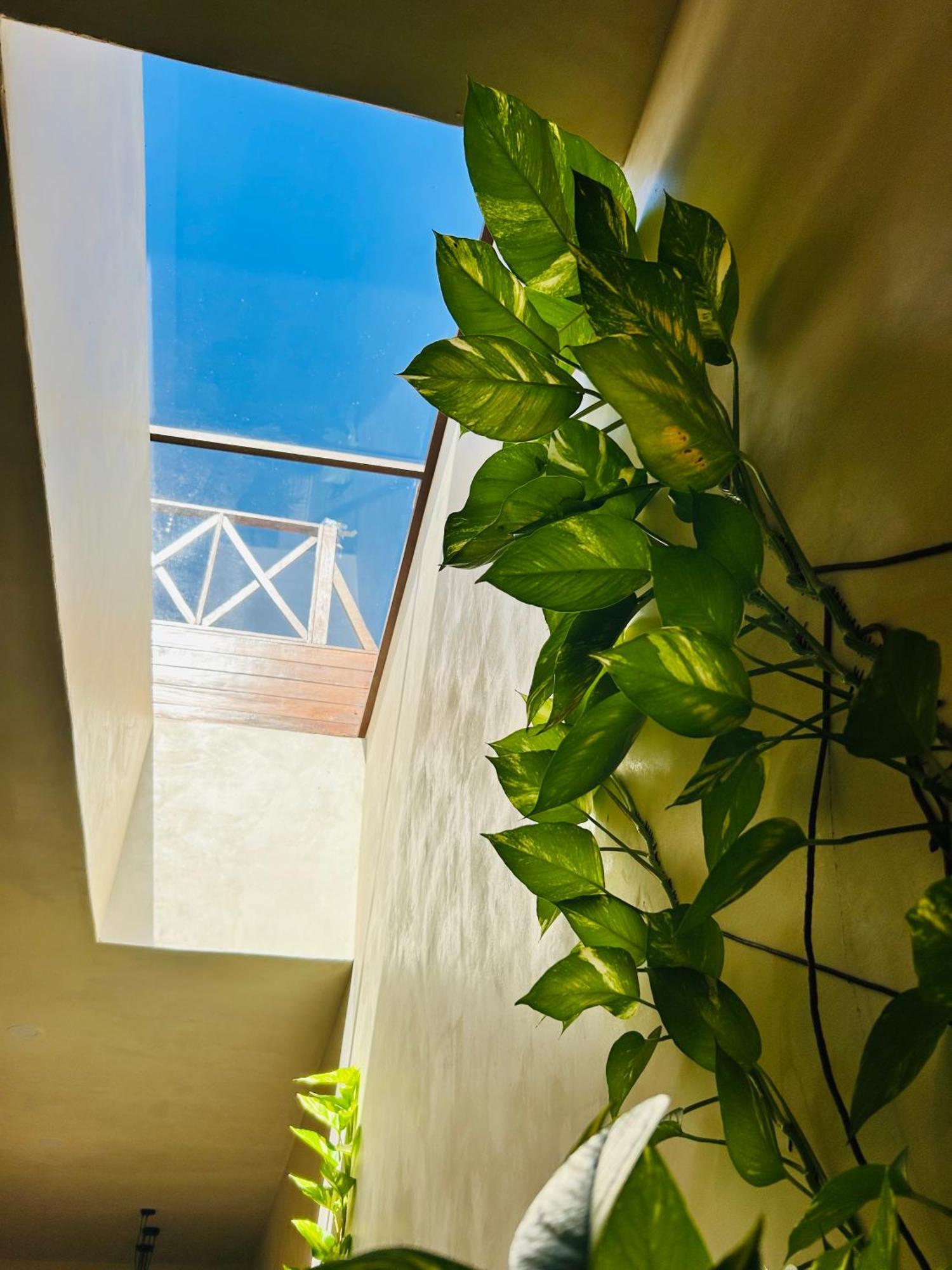 Sunsteps Casa Holbox公寓 外观 照片